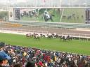 Race 2 - Horses from 4 angles